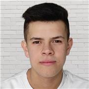 Faccio lezioni private di matematica per ragazzi delle medie e superiori